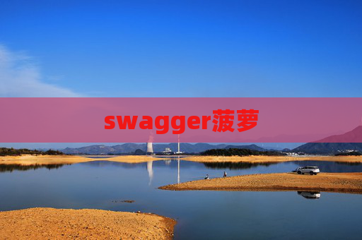 swagger菠萝 swagger菠萝